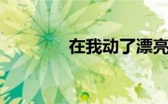 在我动了漂亮老板的电脑后