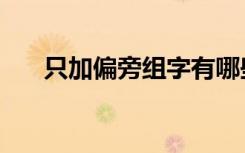 只加偏旁组字有哪些（只加偏旁组词）