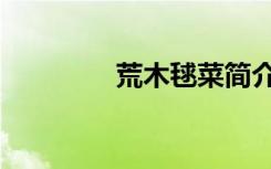 荒木毬菜简介（荒木毬菜）