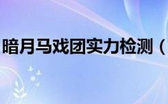 暗月马戏团实力检测（暗月马戏团 实力检测）