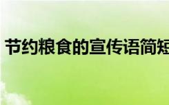 节约粮食的宣传语简短（节约粮食的宣传语）