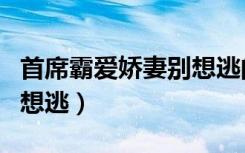 首席霸爱娇妻别想逃的结局（首席霸爱娇妻别想逃）