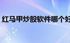 红马甲炒股软件哪个好用（红马甲炒股软件）
