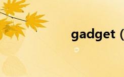 gadget（gadget）