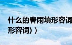 什么的春雨填形容词二年级（什么的春雨(填形容词)）
