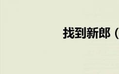 找到新郎（找到新郎）