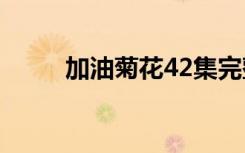 加油菊花42集完整版（加油菊花）