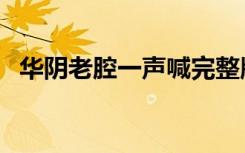 华阴老腔一声喊完整版（华阴老腔一声喊）