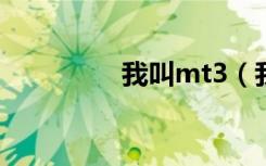 我叫mt3（我叫mt羞花）
