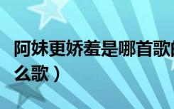 阿妹更娇羞是哪首歌的歌词（阿妹更娇羞是什么歌）