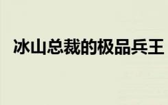 冰山总裁的极品兵王（冰山总裁的下堂妻）