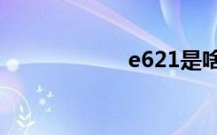 e621是啥（e62v）