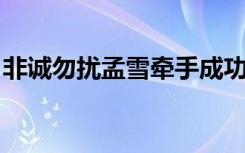 非诚勿扰孟雪牵手成功视频（非诚勿扰 孟雪）