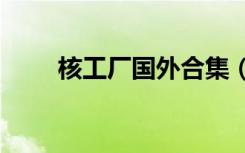 核工厂国外合集（hegongchang）