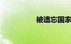 被遗忘国家的神秘徽章