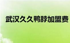 武汉久久鸭脖加盟费（武汉久久鸭脖加盟）