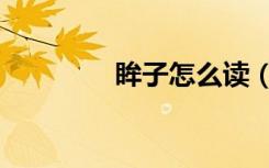眸子怎么读（眸子的意思）