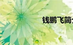 钱鹏飞简介（钱鹏）