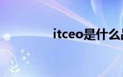 itceo是什么品牌（itceo）