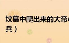 坟墓中爬出来的大帝小说（坟墓中爬出来的士兵）