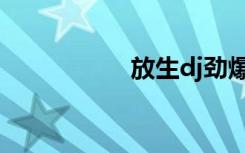放生dj劲爆（放生dj）