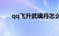 qq飞升武魂丹怎么用（qq飞升法宝）