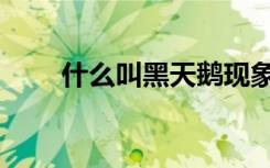 什么叫黑天鹅现象（什么叫黑木耳）
