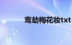 鸾劫梅花妆txt（鸾劫 梅花妆）