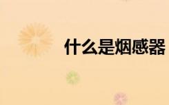 什么是烟感器（什么是烟标）