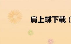 肩上蝶下载（肩上蝶歌词）