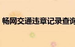 畅网交通违章记录查询（畅网交通违章查询）