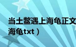 当土鳖遇上海龟正文加番外txt（当土鳖遇上海龟txt）