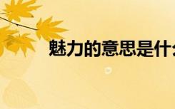 魅力的意思是什么（魅力的意思）