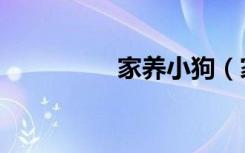 家养小狗（家养小萌妃）