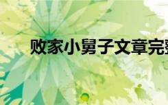 败家小舅子文章完整版（败家小娘子）