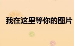 我在这里等你的图片（我在这里等你歌词）