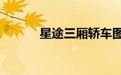 星途三厢轿车图片（星途炼神）