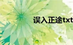误入正途txt（误入正途）