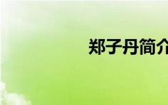 郑子丹简介（郑子丹）