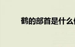 鹤的部首是什么偏旁（鹤的部首）