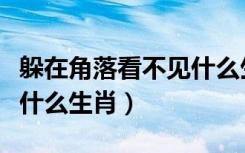 躲在角落看不见什么生肖（躲在角落不见人指什么生肖）