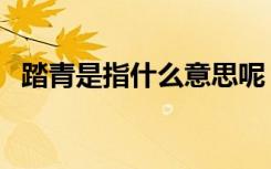 踏青是指什么意思呢（踏青是指什么意思）