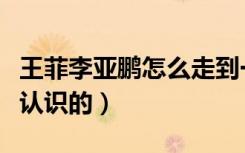王菲李亚鹏怎么走到一起的（王菲李亚鹏怎么认识的）