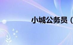 小城公务员（小城公务员）