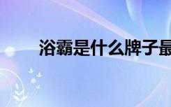 浴霸是什么牌子最好（浴霸是什么）