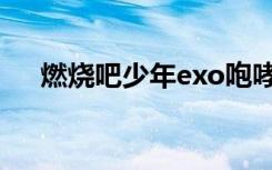 燃烧吧少年exo咆哮（燃烧吧少年exo）