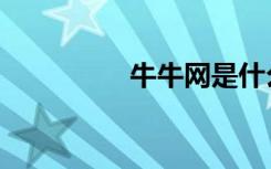 牛牛网是什么（牛牛网）