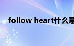 follow heart什么意思（follow heart）