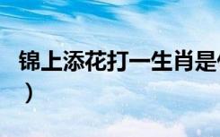 锦上添花打一生肖是什么（锦上添花打一生肖）