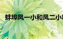 蚌埠凤一小和凤二小哪个好（蚌埠凤一小）